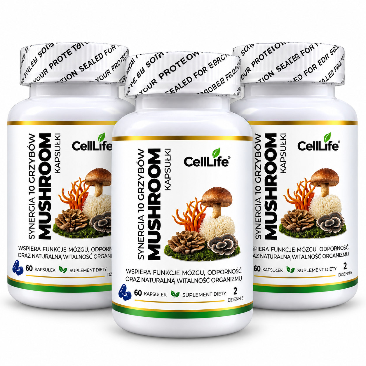 Suplement diety CELL LIFE MUSHROOM synergia 10 grzybów 3x60 kapsułek